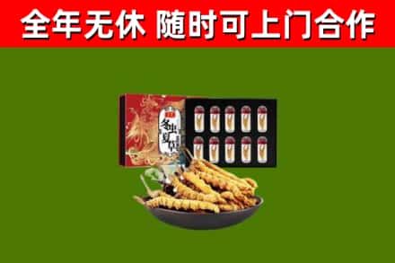 翠屏回收冬虫夏草价格